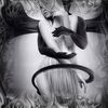 aspenfeatherrc